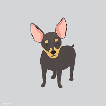 Cute illustration of a chihuahua dog | Free stock vector - 60584