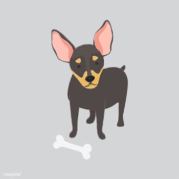 Cute illustration of a chihuahua dog | Free stock vector - 60596