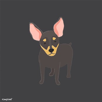 Cute illustration of a chihuahua dog | Free stock vector - 60608