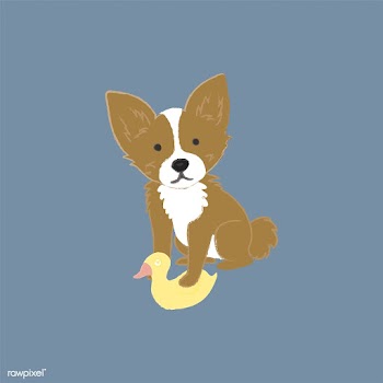 Cute illustration of a chihuahua dog | Free stock vector - 60614