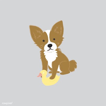 Cute illustration of a chihuahua dog | Free stock vector - 60636