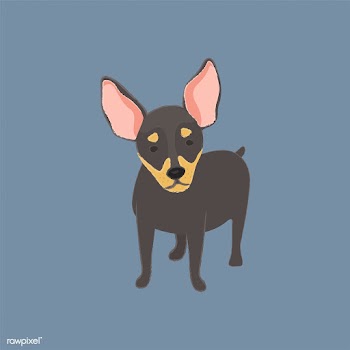 Cute illustration of a chihuahua dog | Free stock vector - 60641