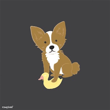 Cute illustration of a chihuahua dog | Free stock vector - 60646