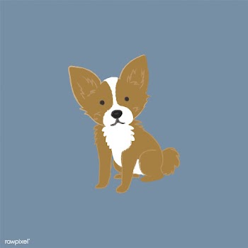 Cute illustration of a chihuahua dog | Free stock vector - 60650