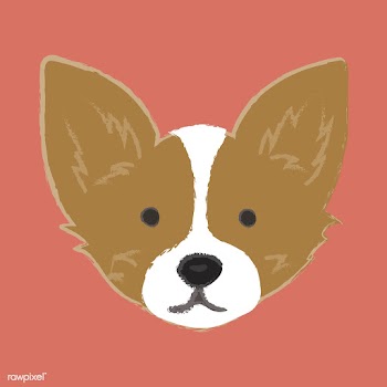 Cute illustration of a chihuahua dog | Free stock vector - 60670