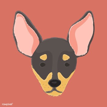 Cute illustration of a chihuahua dog | Free stock vector - 60700