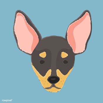 Cute illustration of a chihuahua dog | Free stock vector - 60701