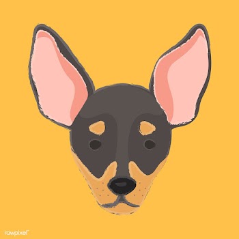 Cute illustration of a chihuahua dog | Free stock vector - 60702