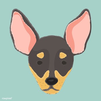 Cute illustration of a chihuahua dog | Free stock vector - 60732