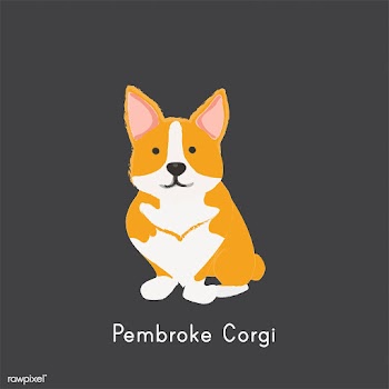 Cute illustration of a corgi dog | Free stock vector - 60462
