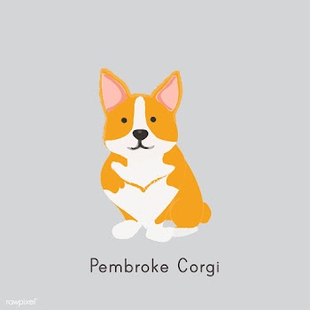 Cute illustration of a corgi dog | Free stock vector - 60466