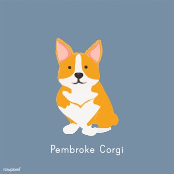 Cute illustration of a corgi dog | Free stock vector - 60481