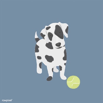 Cute illustration of a dalmatian dog | Free stock vector - 60588