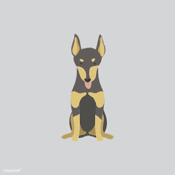 Cute illustration of a doberman dog | Free stock vector - 60438
