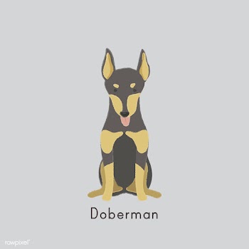 Cute illustration of a doberman dog | Free stock vector - 60455