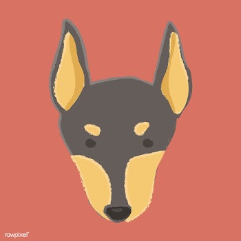 Cute illustration of a doberman dog | Free stock vector - 60474