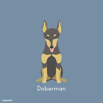 Cute illustration of a doberman dog | Free stock vector - 60477