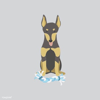 Cute illustration of a doberman dog | Free stock vector - 60611