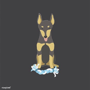 Cute illustration of a doberman dog | Free stock vector - 60615