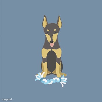 Cute illustration of a doberman dog | Free stock vector - 60617
