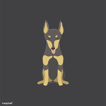 Cute illustration of a doberman dog | Free stock vector - 60630
