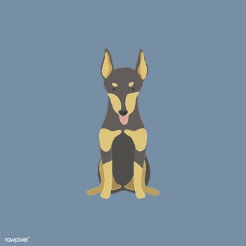 Cute illustration of a doberman dog | Free stock vector - 60637