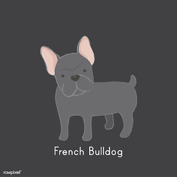 Cute illustration of a french bulldog | Free stock vector - 60418