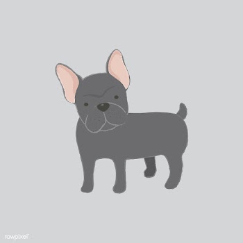 Cute illustration of a french bulldog | Free stock vector - 60439
