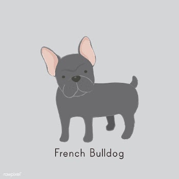 Cute illustration of a french bulldog | Free stock vector - 60457
