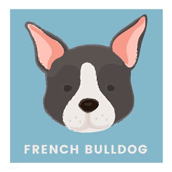 Cute illustration of a french bulldog | Free stock vector - 60672