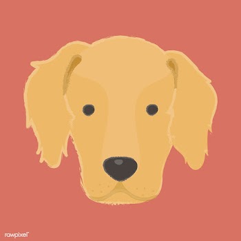 Cute illustration of a golden retriever dog | Free stock vector - 60409
