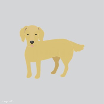 Cute illustration of a golden retriever dog | Free stock vector - 60415