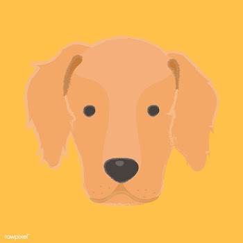 Cute illustration of a golden retriever dog | Free stock vector - 60431