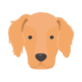Cute illustration of a golden retriever dog | Free stock vector - 60432