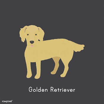 Cute illustration of a golden retriever dog | Free stock vector - 60490