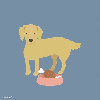 Cute illustration of a golden retriever dog | Free stock vector - 60561