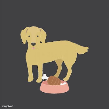 Cute illustration of a golden retriever dog | Free stock vector - 60591