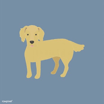Cute illustration of a golden retriever dog | Free stock vector - 60593