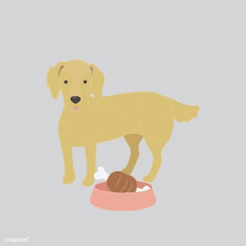 Cute illustration of a golden retriever dog | Free stock vector - 60610