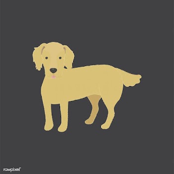 Cute illustration of a golden retriever dog | Free stock vector - 60629