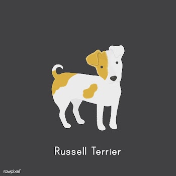 Cute illustration of a jack russel dog | Free stock vector - 60425
