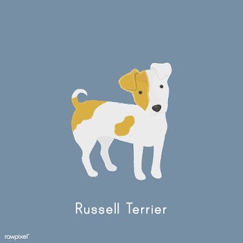 Cute illustration of a jack russel dog | Free stock vector - 60489