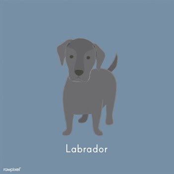 Cute illustration of a labrador dog | Free stock vector - 60450