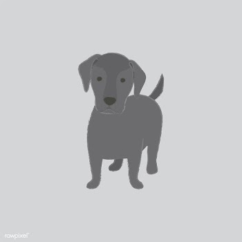 Cute illustration of a labrador dog | Free stock vector - 60559