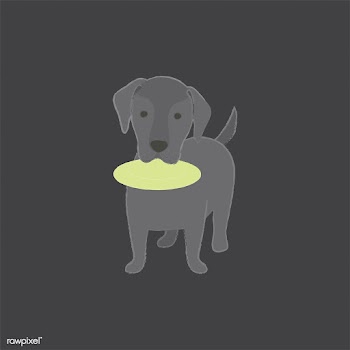 Cute illustration of a labrador dog | Free stock vector - 60570