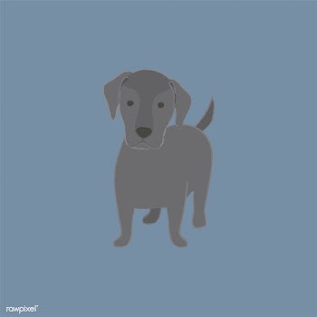 Cute illustration of a labrador dog | Free stock vector - 60640