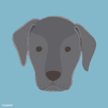 Cute illustration of a labrador dog | Free stock vector - 60727
