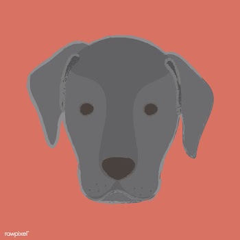 Cute illustration of a labrador dog | Free stock vector - 60728