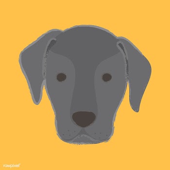 Cute illustration of a labrador dog | Free stock vector - 60744