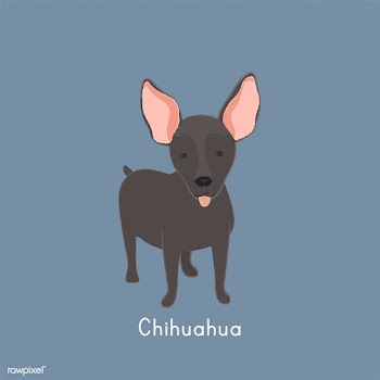 Cute illustration of a mini pinscher dog | Free stock vector - 60480